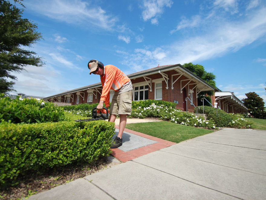 Skyline landscape Services