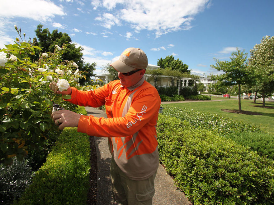 Skyline landscape Services