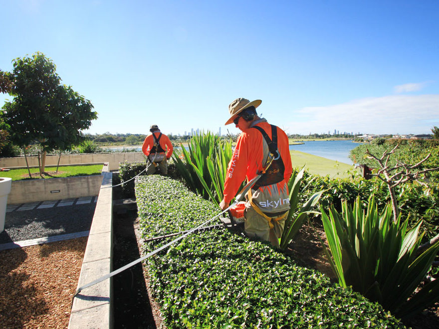 Skyline landscape Services