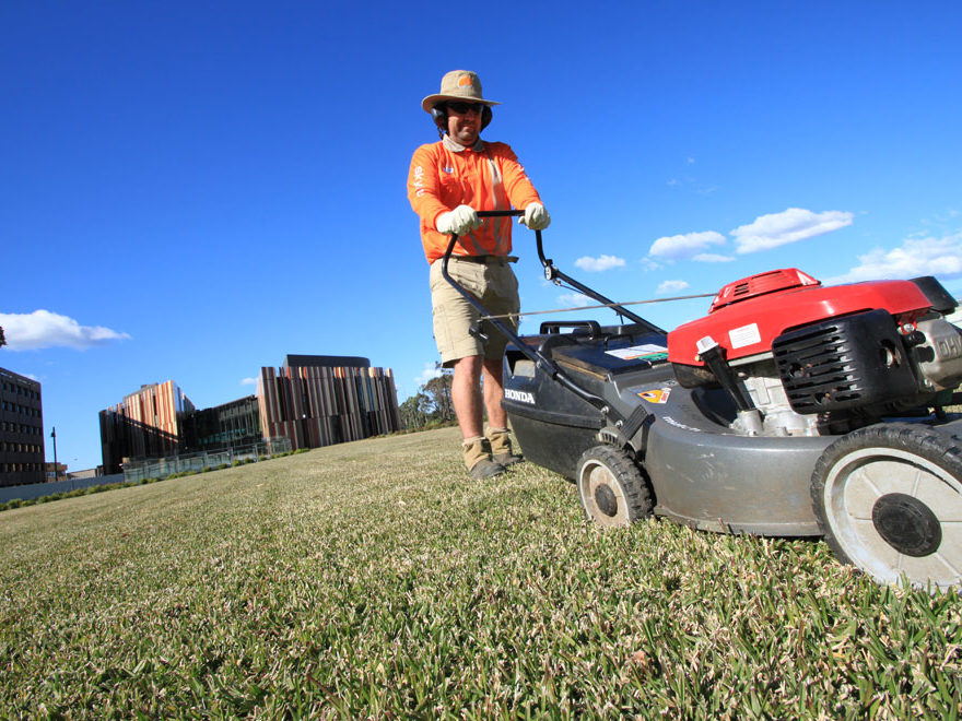 Landscape Construction and Lawn care services