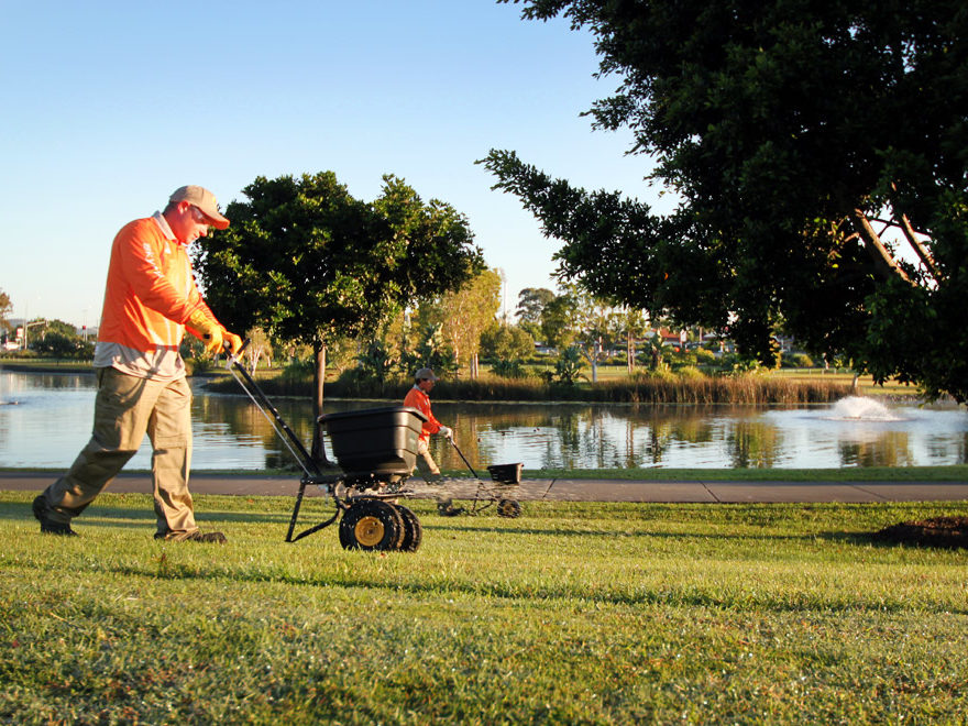 Landscape Construction and Lawn care services