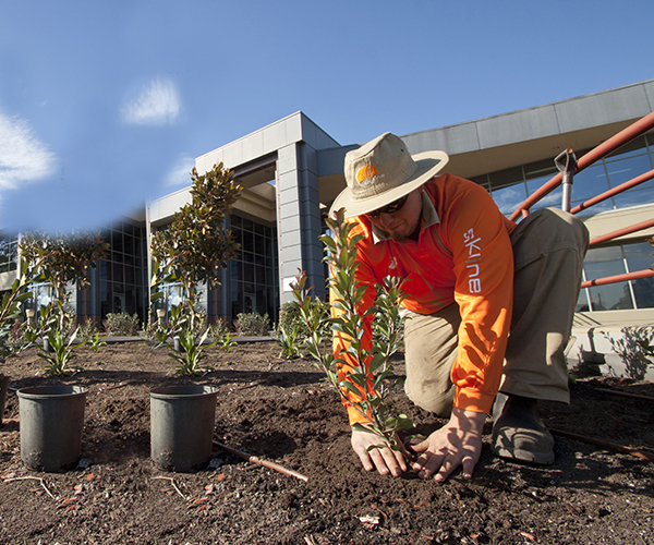 Skyline landscape Services