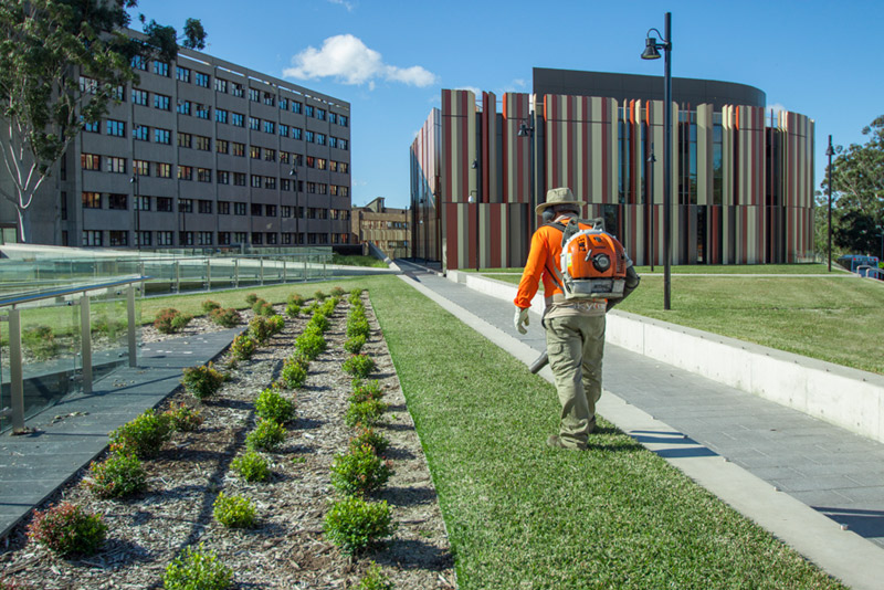 Landscape Construction and Lawn care services