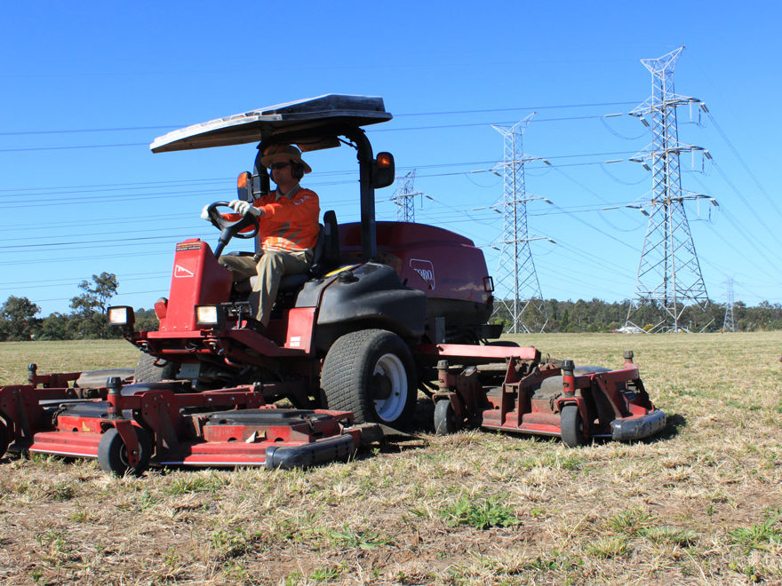 Landscape Construction and Lawn care services