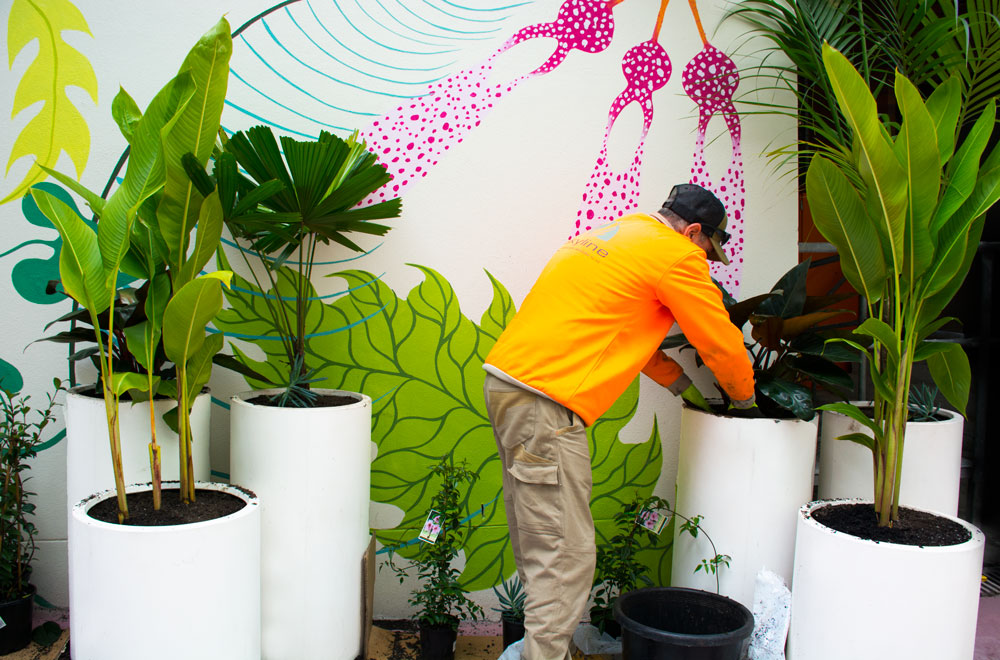 indoor planting download free indoor planting download free