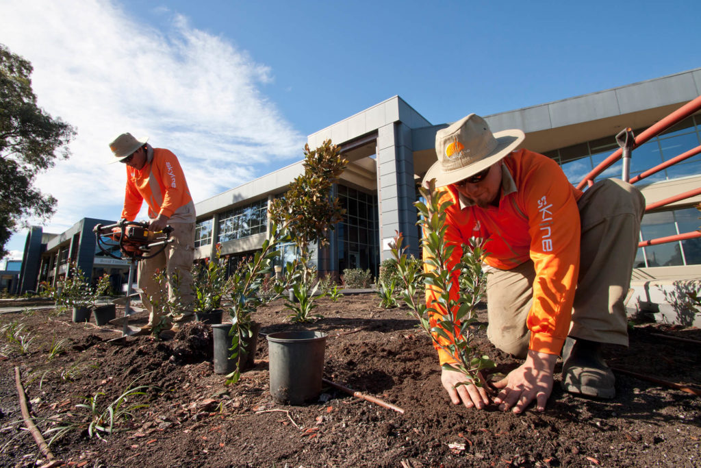 Landscape Construction