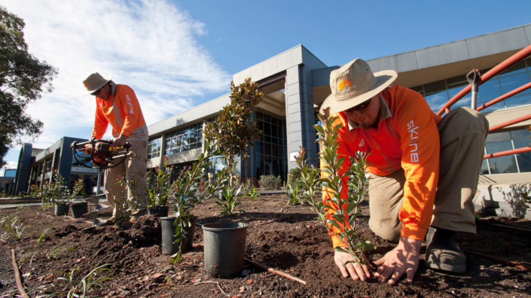 Landscape Construction