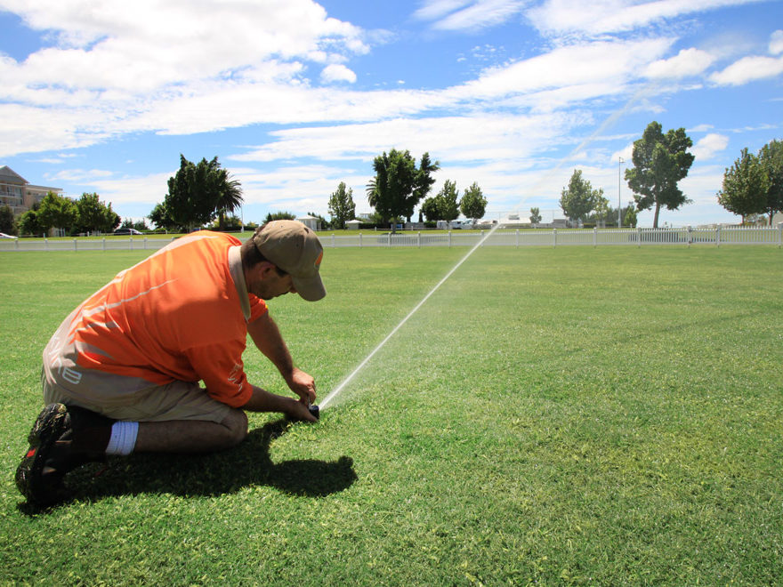 Landscape Construction and Lawn care services