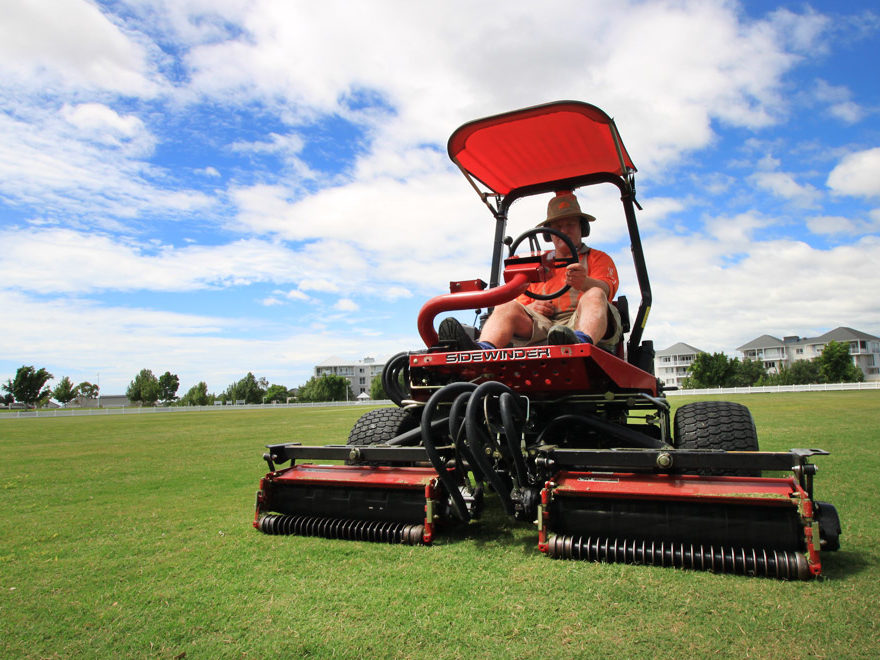 Landscape Construction and Lawn care services