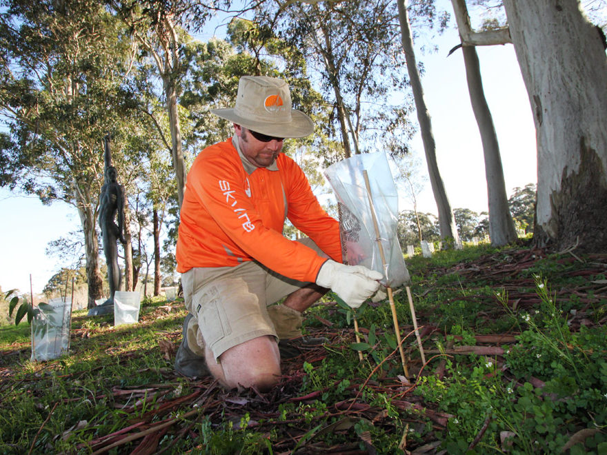 Landscape Construction and Lawn care services