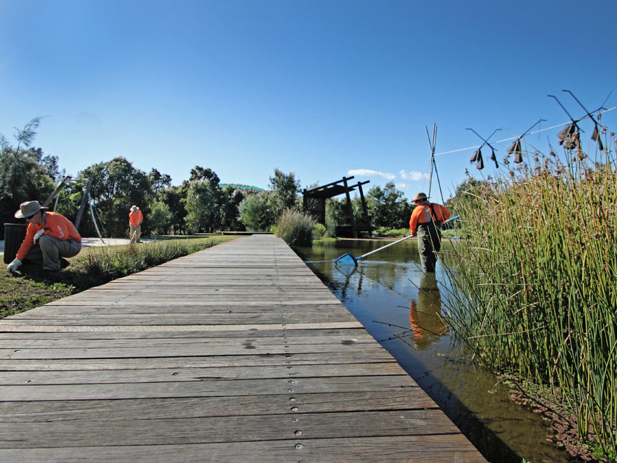 Landscape Construction and Lawn care services