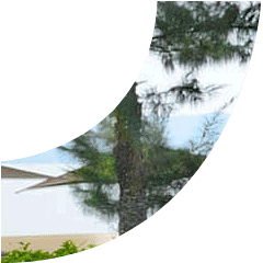 Skyline Landscape Construction