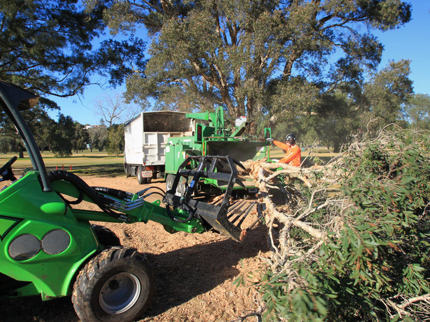 Landscape Construction and Lawn care services