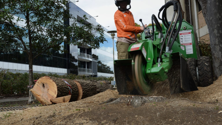 Landscape Construction and Lawn care services