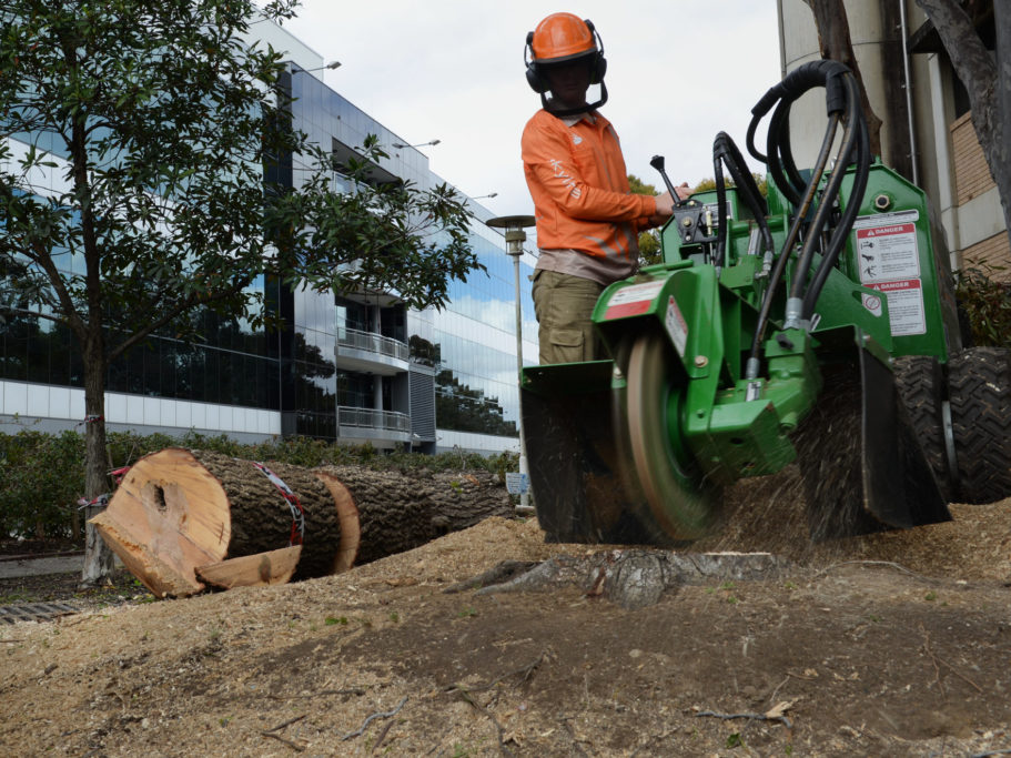 Landscape Construction and Lawn care services