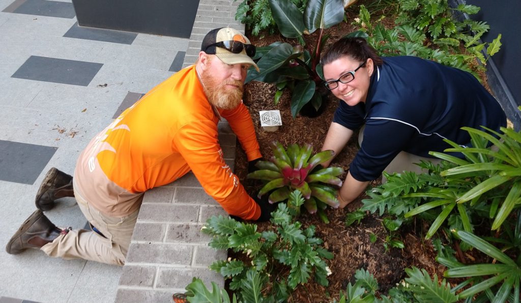 Tree Planting on National Tree Day.