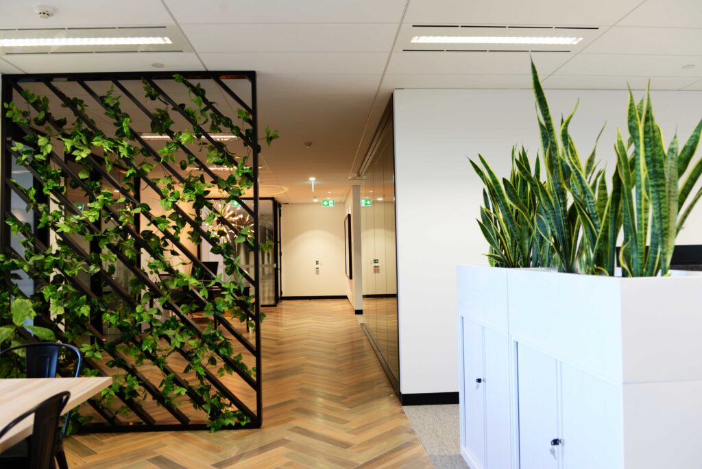 utilising Plants for Workplace Social Distancing