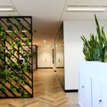 utilising Plants for Workplace Social Distancing