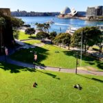 Sydney Landscape Maintenance