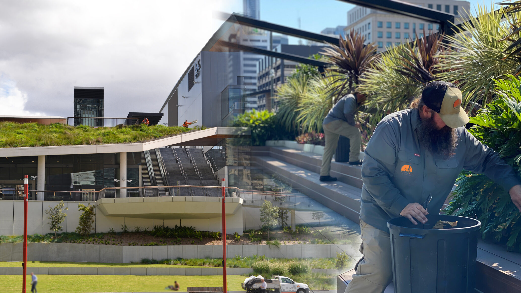 Sky Gardens and Rooftop Gardens Skyline Landscape Serivces